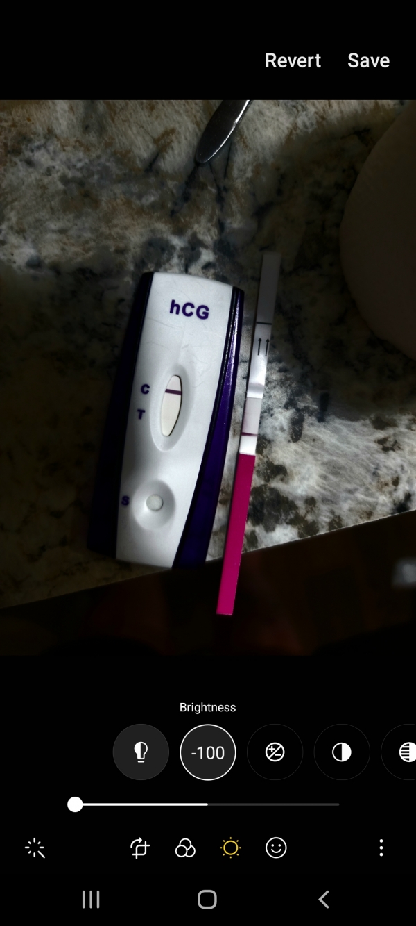Home Pregnancy Test