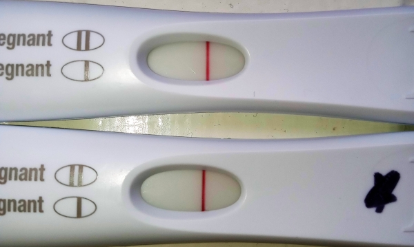Home Pregnancy Test