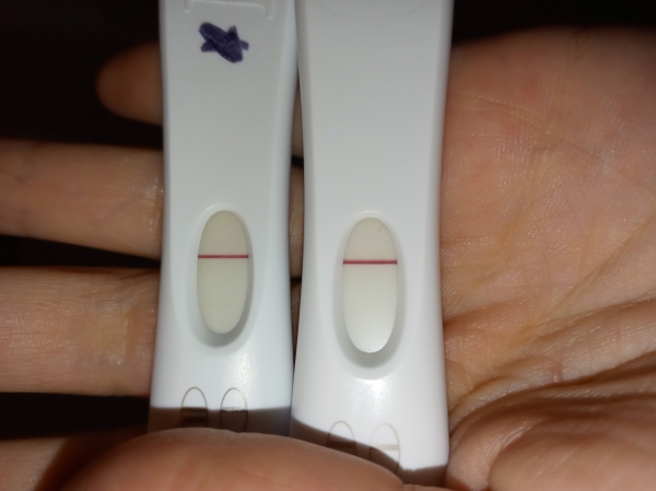Home Pregnancy Test