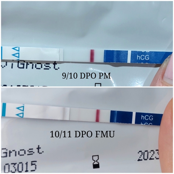 Home Pregnancy Test, 10 Days Post Ovulation, FMU