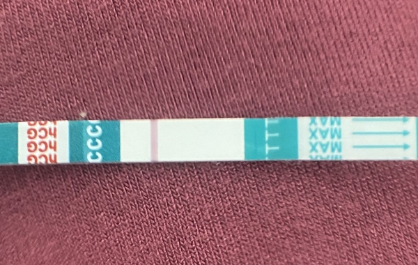Home Pregnancy Test