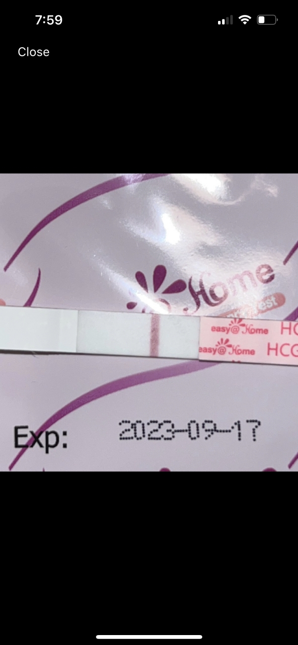 Easy-At-Home Pregnancy Test, 11 Days Post Ovulation, FMU, Cycle Day 32