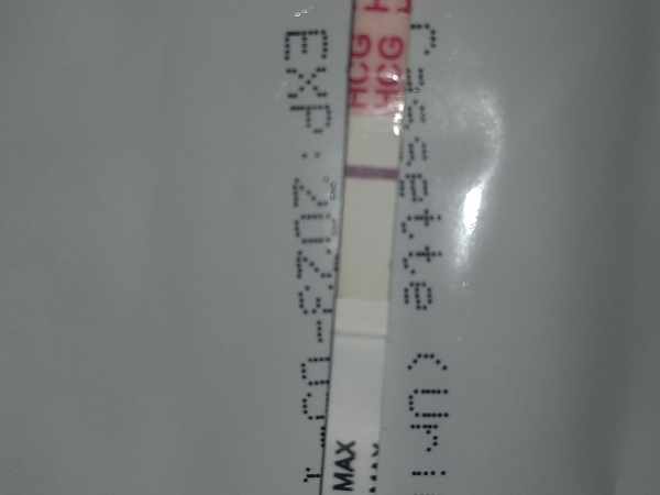 Generic Pregnancy Test
