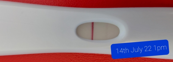 First Response Rapid Pregnancy Test