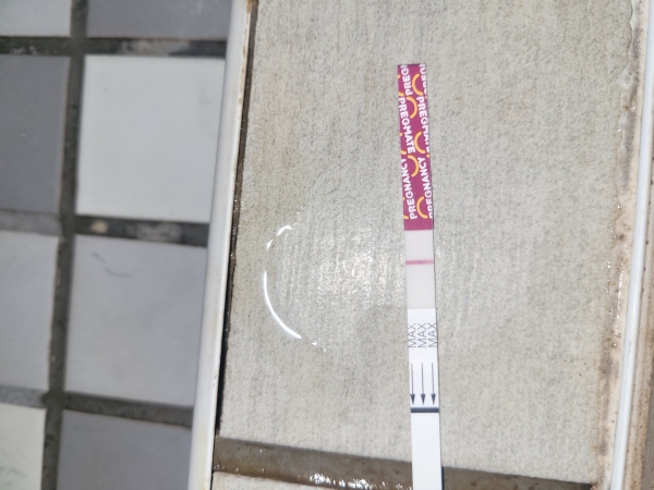 Pregmate Pregnancy Test, 8 Days Post Ovulation, FMU