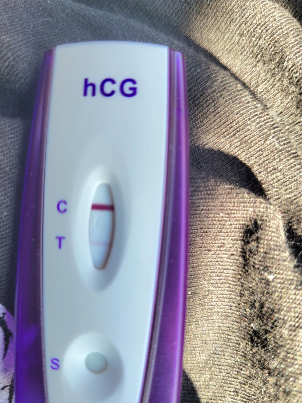 Equate One Step Pregnancy Test, 10 Days Post Ovulation, Cycle Day 31