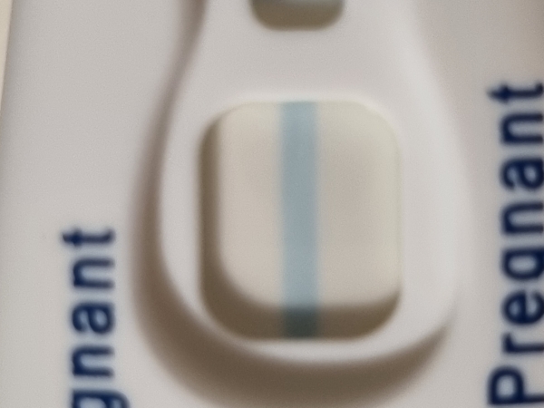 Clearblue Plus Pregnancy Test