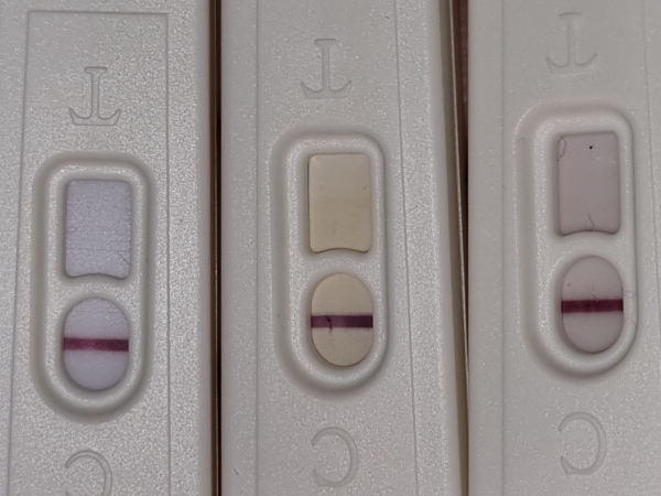 Home Pregnancy Test