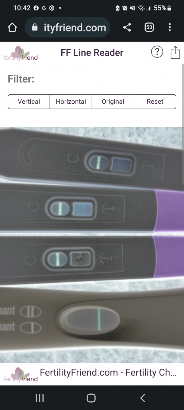 Home Pregnancy Test