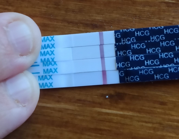 Home Pregnancy Test, 8 Days Post Ovulation