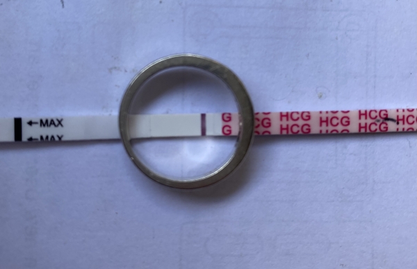 Wondfo Test Strips Pregnancy Test, 10 Days Post Ovulation, FMU