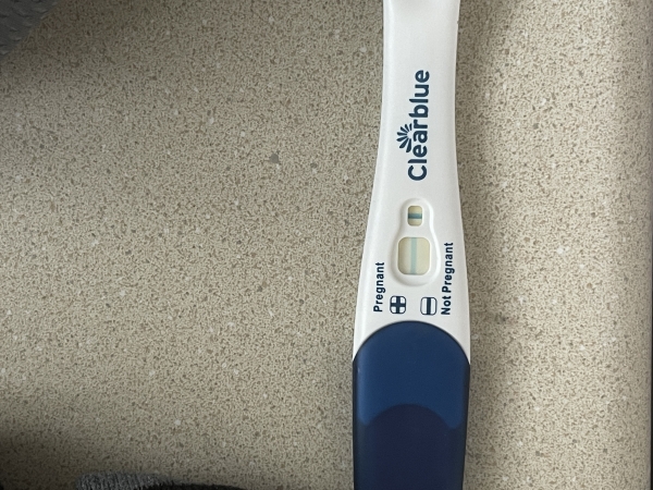 Home Pregnancy Test