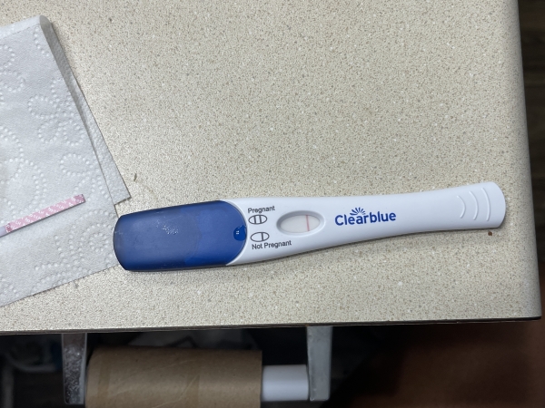 Home Pregnancy Test