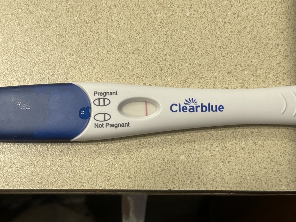 Home Pregnancy Test