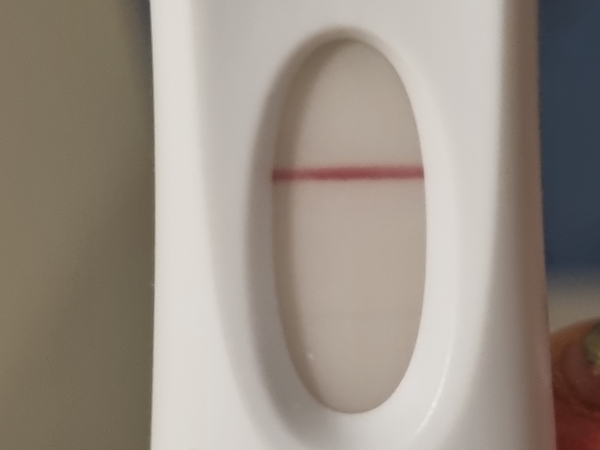 Home Pregnancy Test