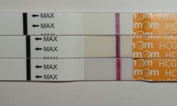 Home Pregnancy Test