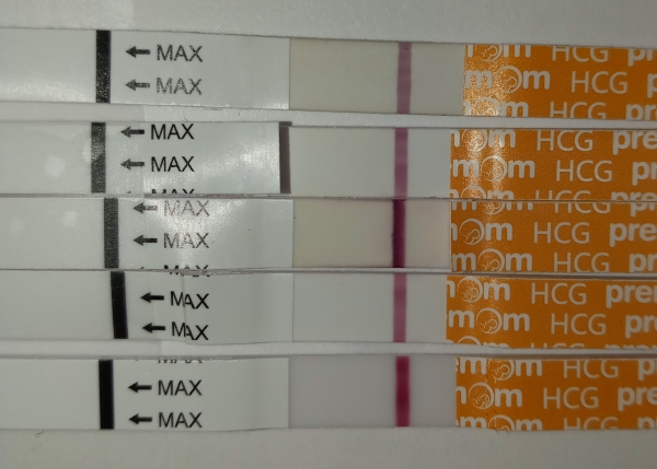 Home Pregnancy Test