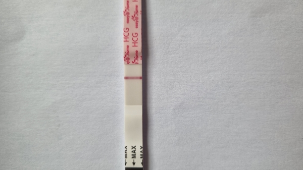 Home Pregnancy Test