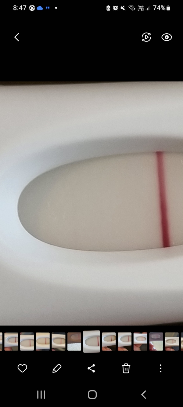 Home Pregnancy Test