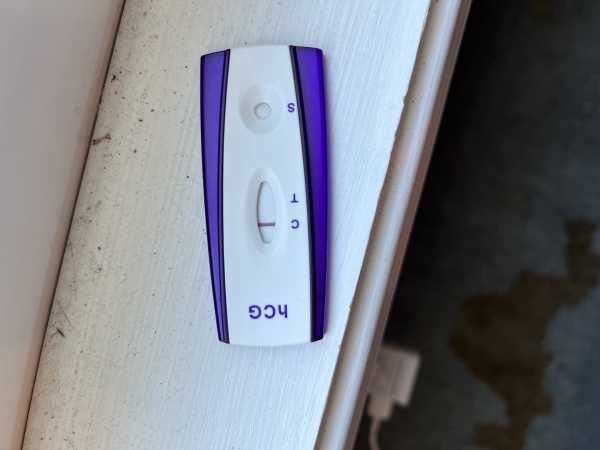 Equate One Step Pregnancy Test, 8 Days Post Ovulation, Cycle Day 22