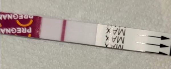 Pregmate Pregnancy Test, Cycle Day 40
