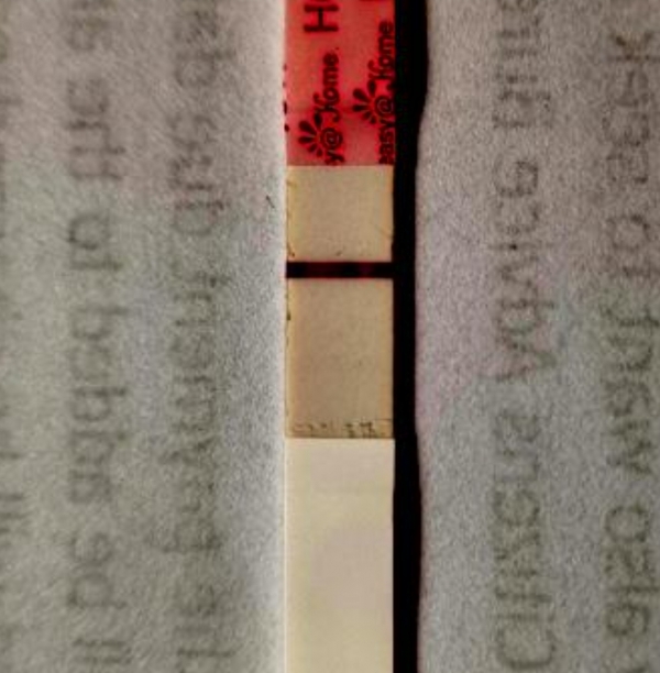 Home Pregnancy Test
