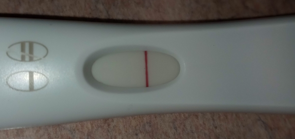 Home Pregnancy Test