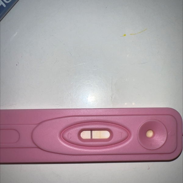 Home Pregnancy Test