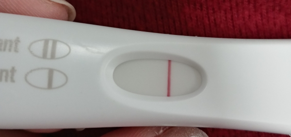 Home Pregnancy Test
