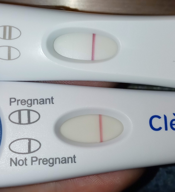 Home Pregnancy Test