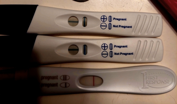 Home Pregnancy Test
