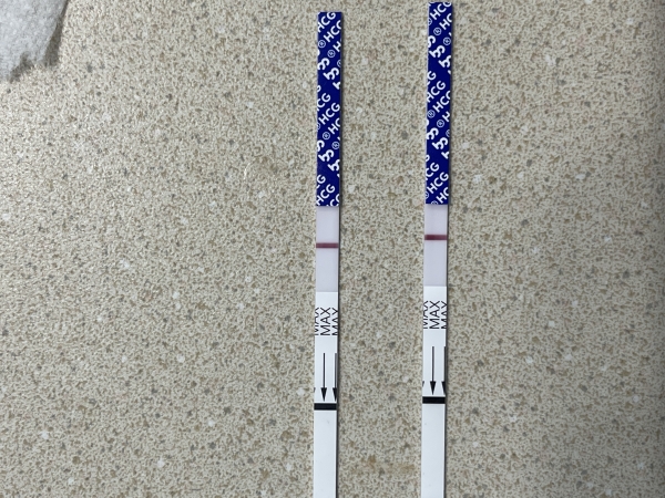 Generic Pregnancy Test, 10 Days Post Ovulation, FMU