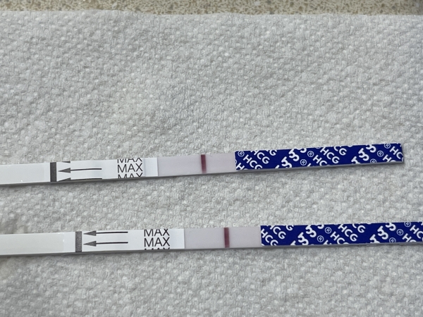 Generic Pregnancy Test, 11 Days Post Ovulation, FMU