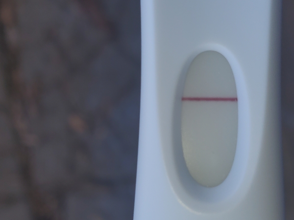First Response Rapid Pregnancy Test
