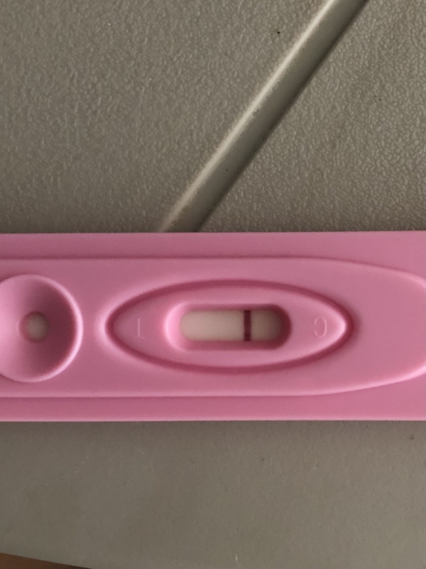 Home Pregnancy Test