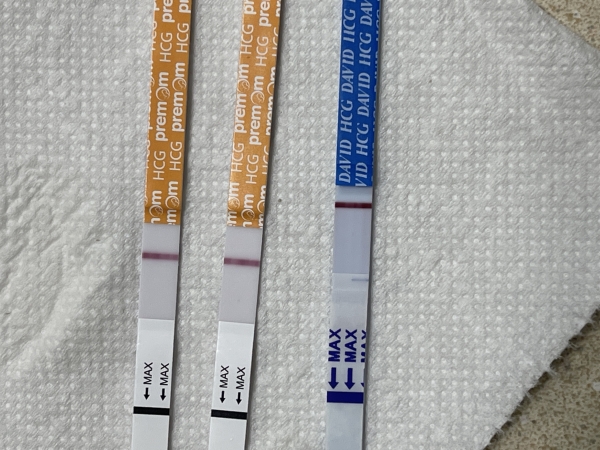 Generic Pregnancy Test