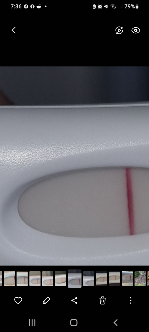 Home Pregnancy Test