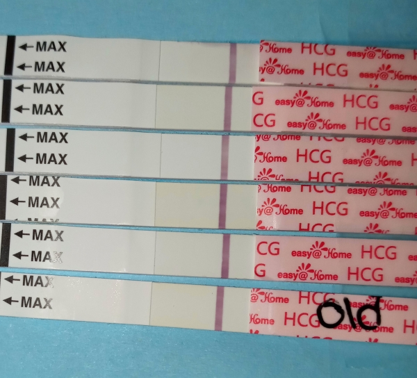 Home Pregnancy Test