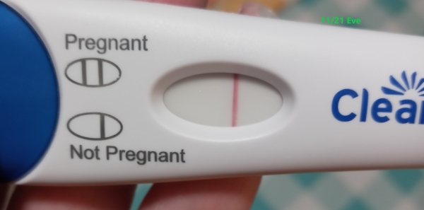 Home Pregnancy Test, 9 Days Post Ovulation, FMU