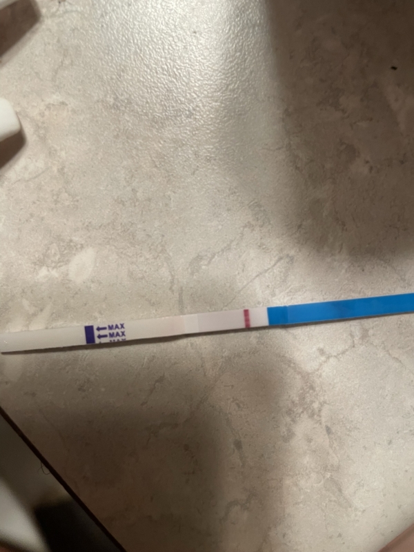 Home Pregnancy Test