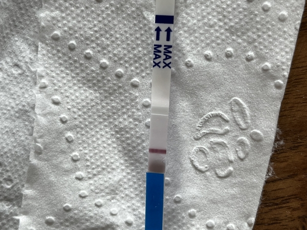 Babi One Step Pregnancy Test