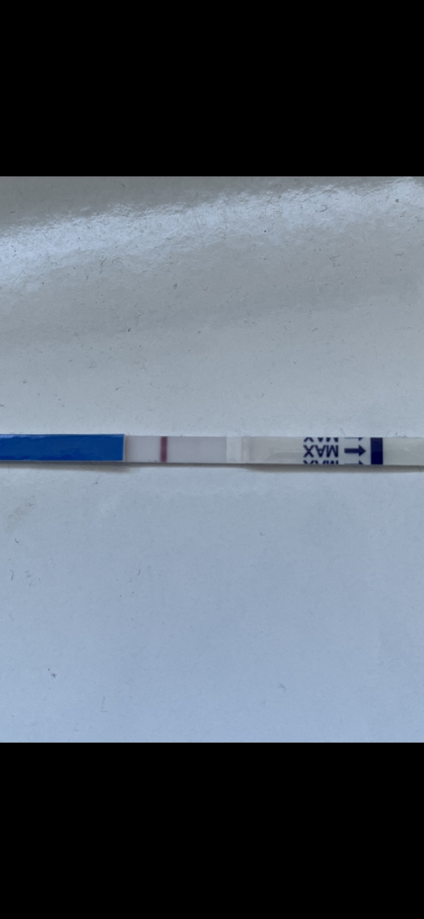 First Signal One Step Pregnancy Test