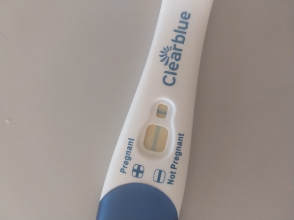 Home Pregnancy Test