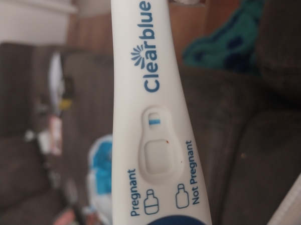 Home Pregnancy Test