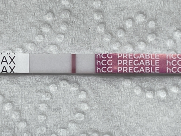 Home Pregnancy Test