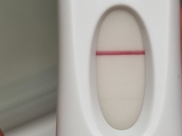 Home Pregnancy Test