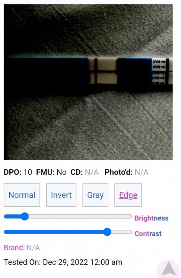 Home Pregnancy Test, 10 Days Post Ovulation