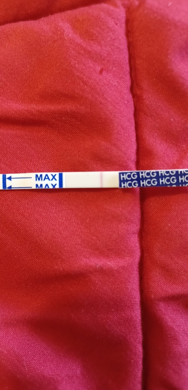 Home Pregnancy Test