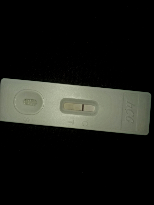 Generic Pregnancy Test, 17 Days Post Ovulation