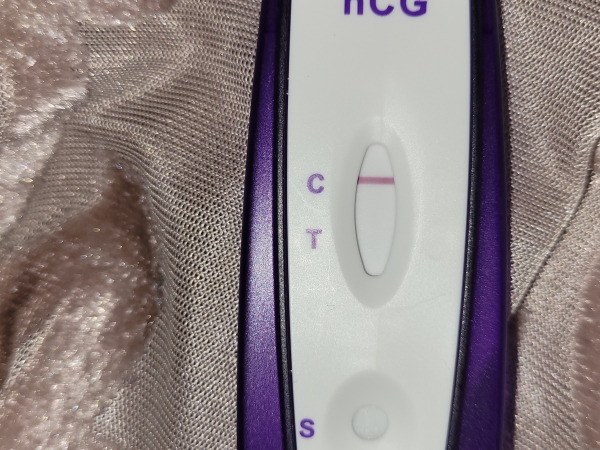 Home Pregnancy Test